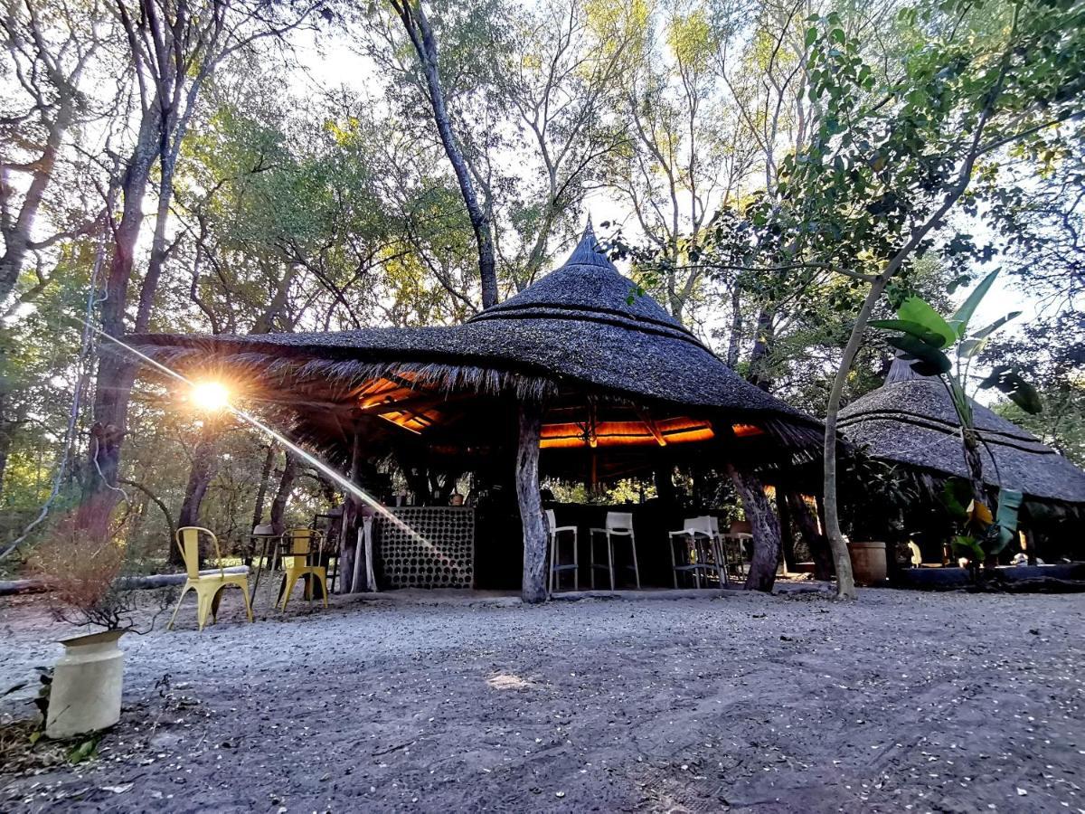 The Tshilli Farm & Lodge Maun Kültér fotó